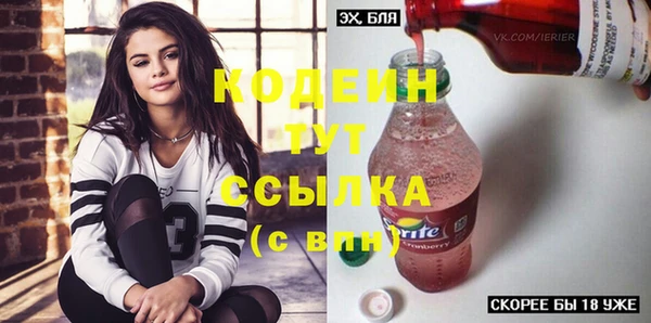 ECSTASY Алзамай