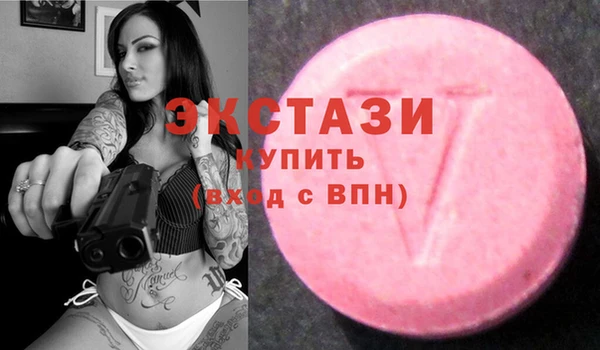 ECSTASY Алзамай